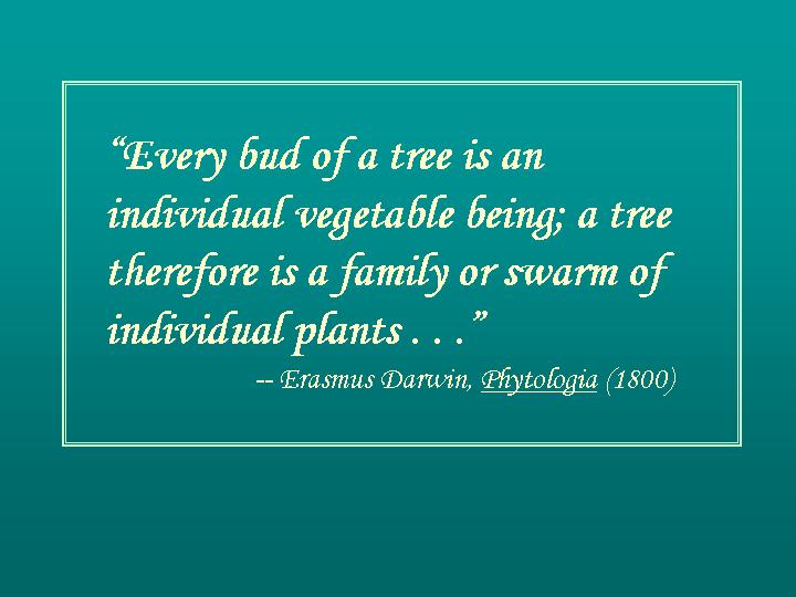 “Every bud of a tree is an individual vegetable being . . .”