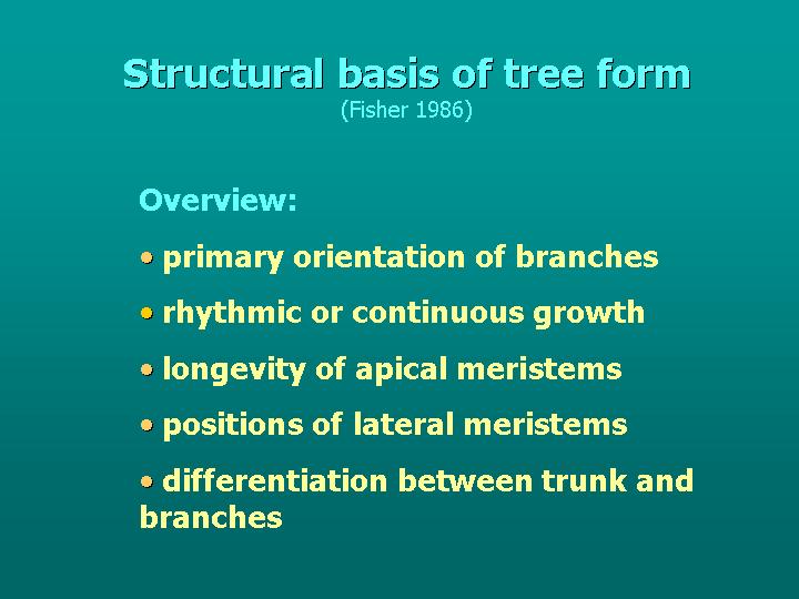 overview: structural basis of tree form